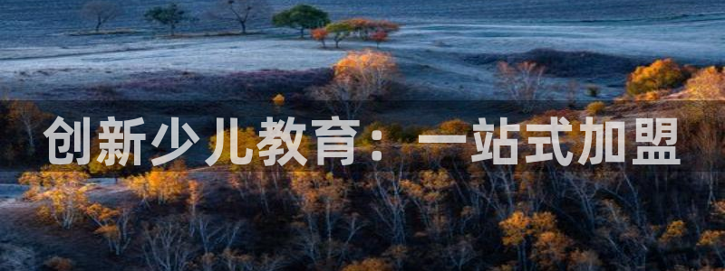 鸿运官网平台