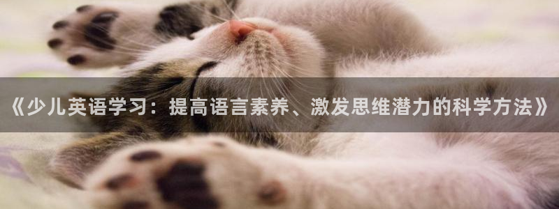 鸿运体育平台