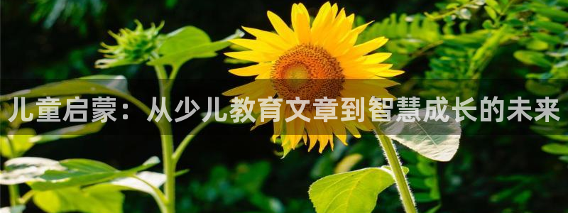 香港鸿运交易平台