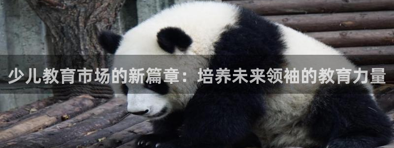 鸿运代拍平台