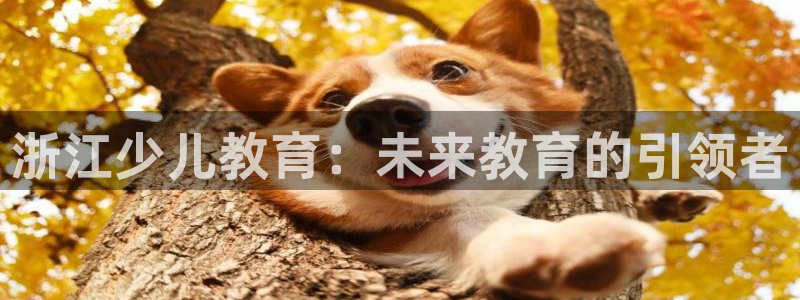 鸿运画室平台介绍