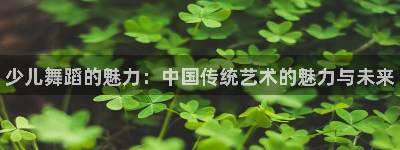 鸿运电商平台