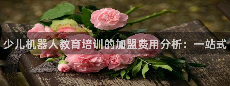 鸿运网投平台