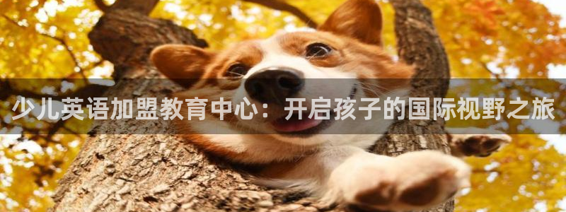 鸿运直播平台游戏