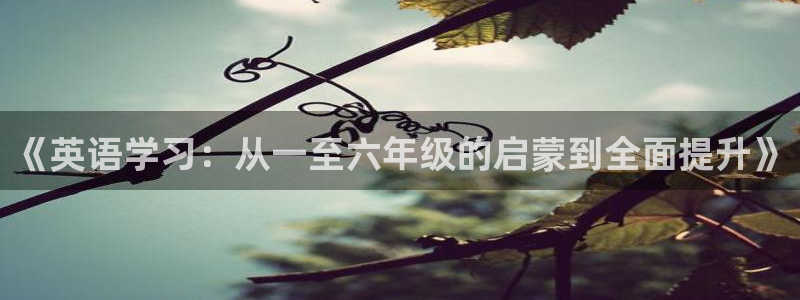 鸿运满堂网上平台