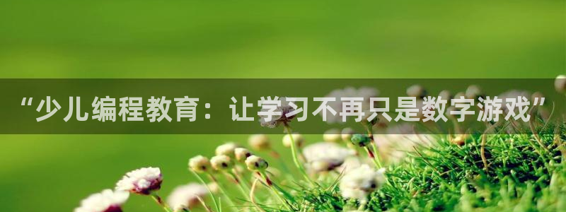 鸿运平台网投