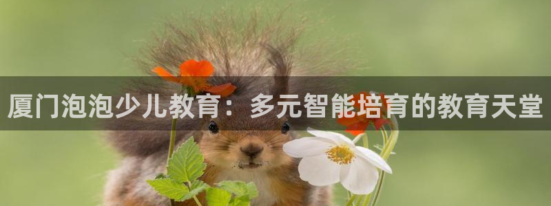 鸿运国际平台平台怎么样
