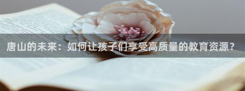 琥珀鸿运彩票平台靠谱吗