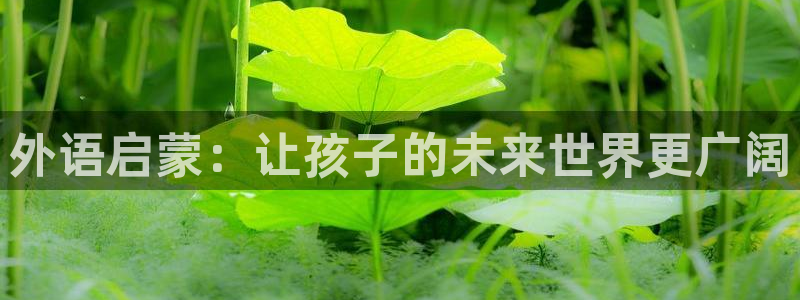 鸿运平台带赚