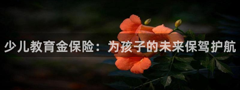 鸿运彩票专业购采平台