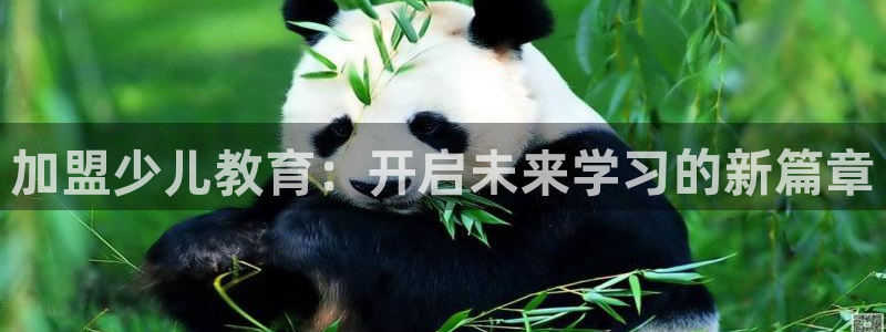 鸿运国际娱平台