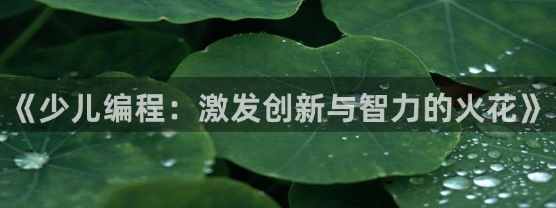 鸿运体育平台