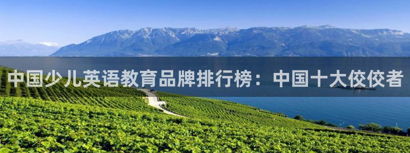 鸿运游戏平台投注