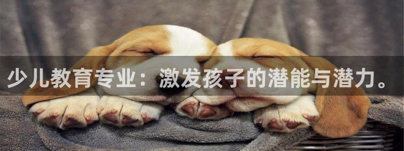鸿运投资平台