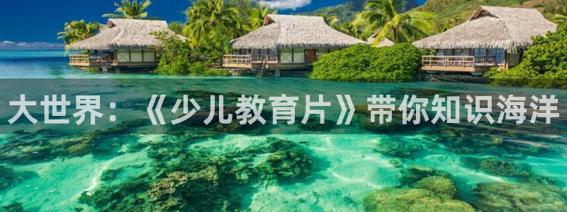 长鸿运营平台