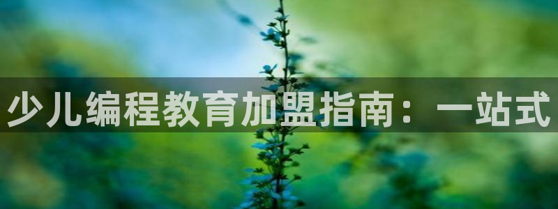 鸿运借款平台可靠吗