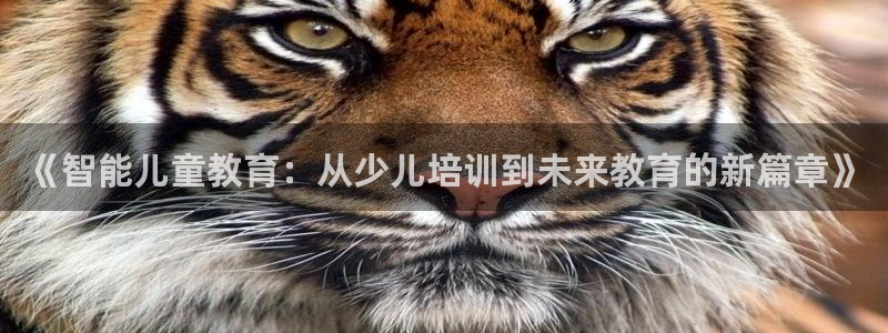 鸿运最大的直播平台