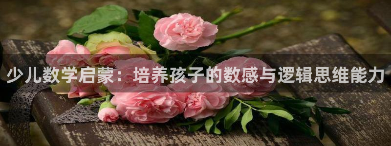 鸿运平台招商注册