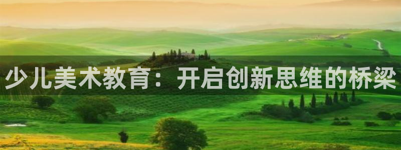 鸿运公司滴滴平台