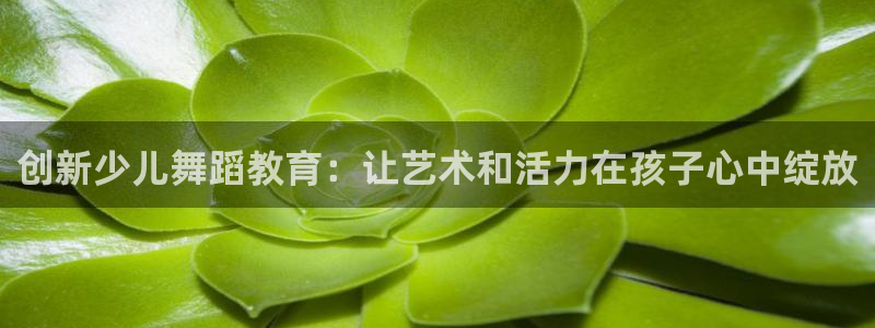鸿运矿机平台