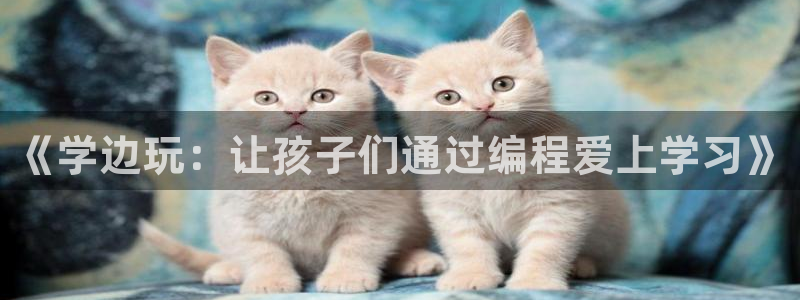 邹平台子鸿运