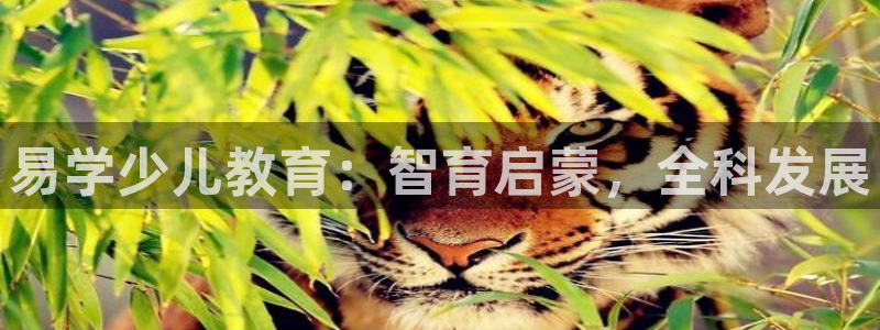 鸿运菜瞟平台