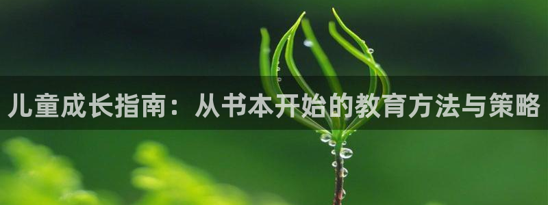 鸿运供应管理平台