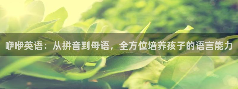 鸿运彩 票诈骗平台