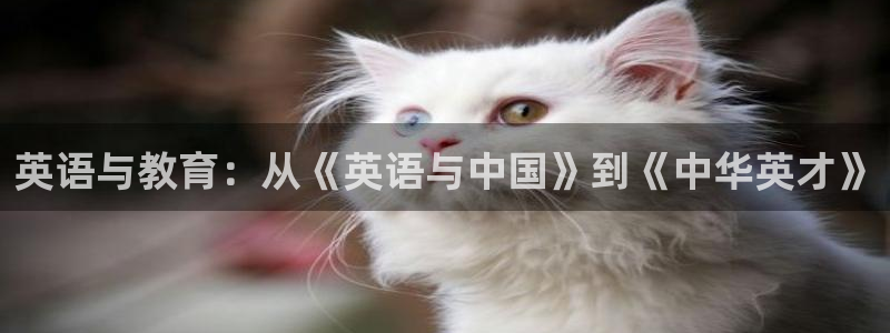 鸿运平台试玩
