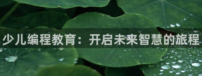 琥珀鸿运平台多久了