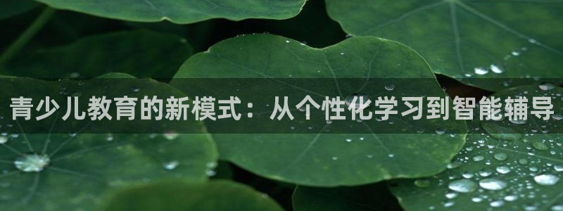 鸿运商通管理平台