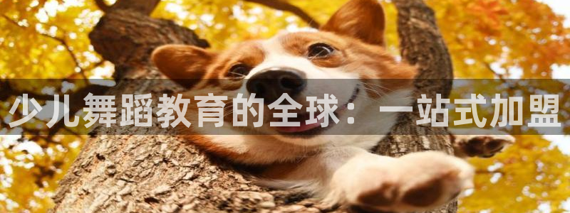 琥珀鸿运是怎样的平台