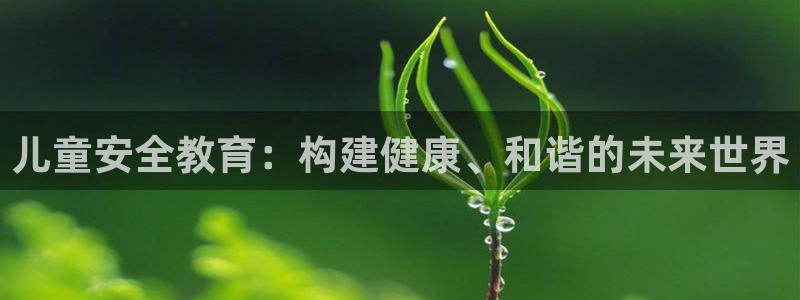 鸿运平台是什么