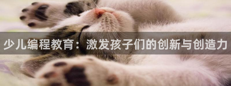 国际鸿运官方平台