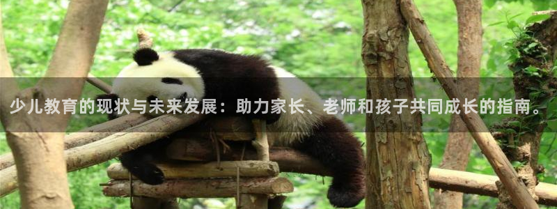 琥珀鸿运平台怎样赚钱的