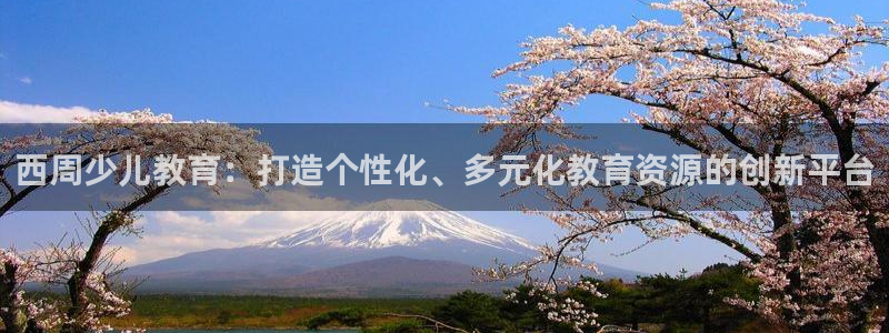 鸿运策略平台股票骗局