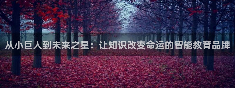 鸿运国际平台平