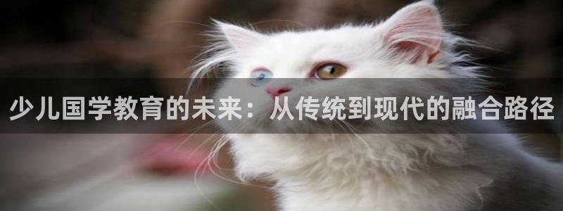 下载app鸿运平台