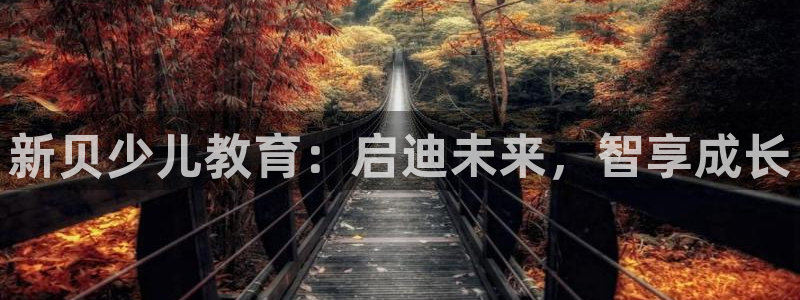 鸿运平台被骗事件