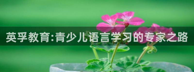 鸿运手机团购平台