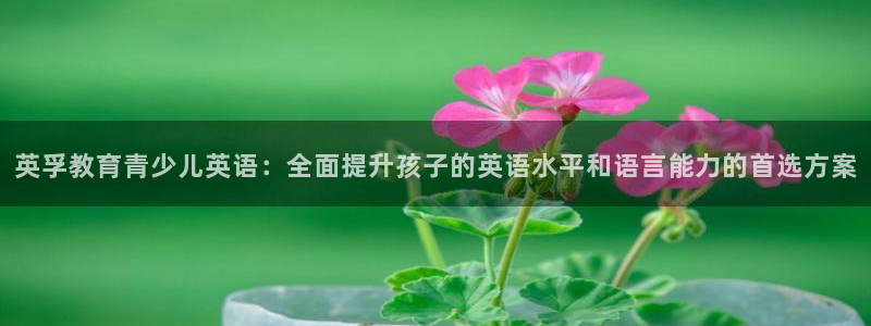 鸿运北斗监控平台