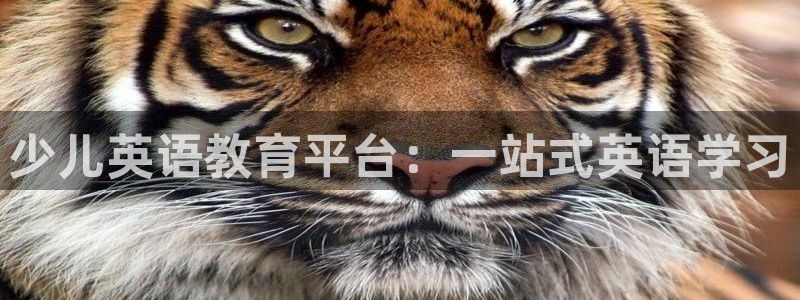 鸿运是黑平台吗