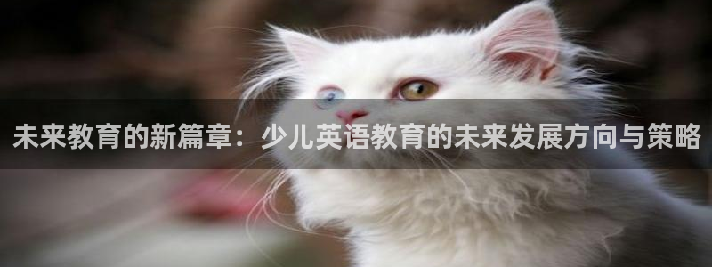 鸿运合拍字画拍卖平台