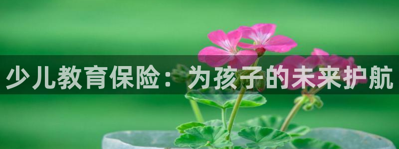 鸿运服务平台是什么