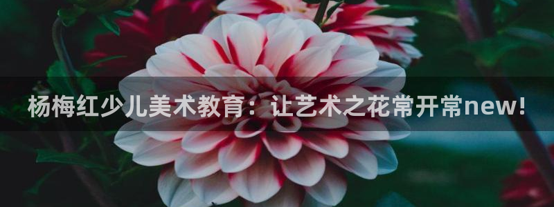 鸿运彩票网络平台下载