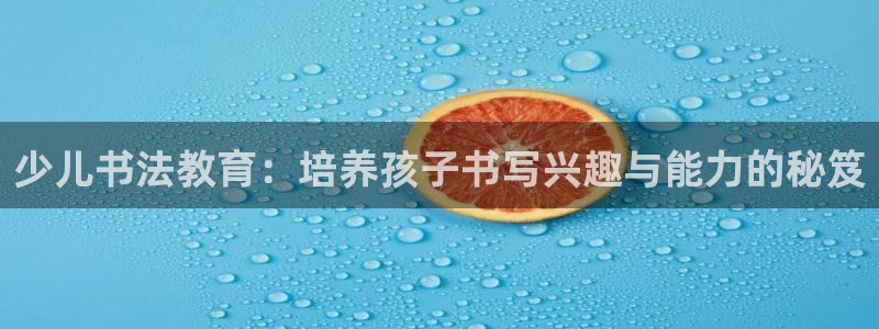 鸿运华宁技术平台