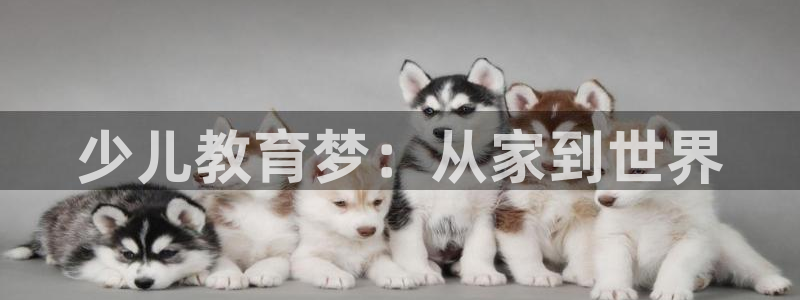 鸿运直播平台游戏