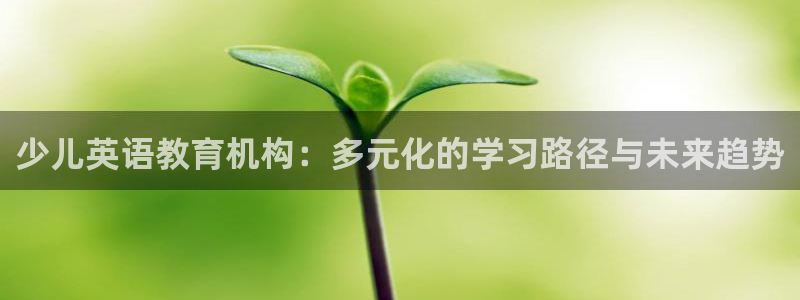 鸿运体育平台网址