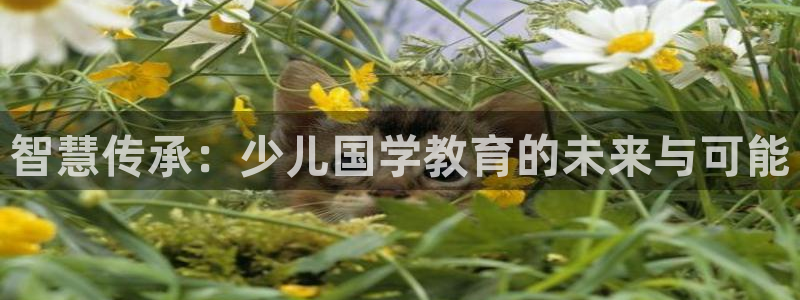 鸿运平台是骗局吗