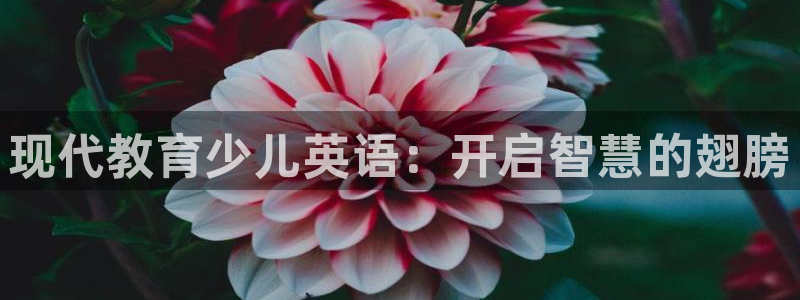 鸿运国际游戏平台